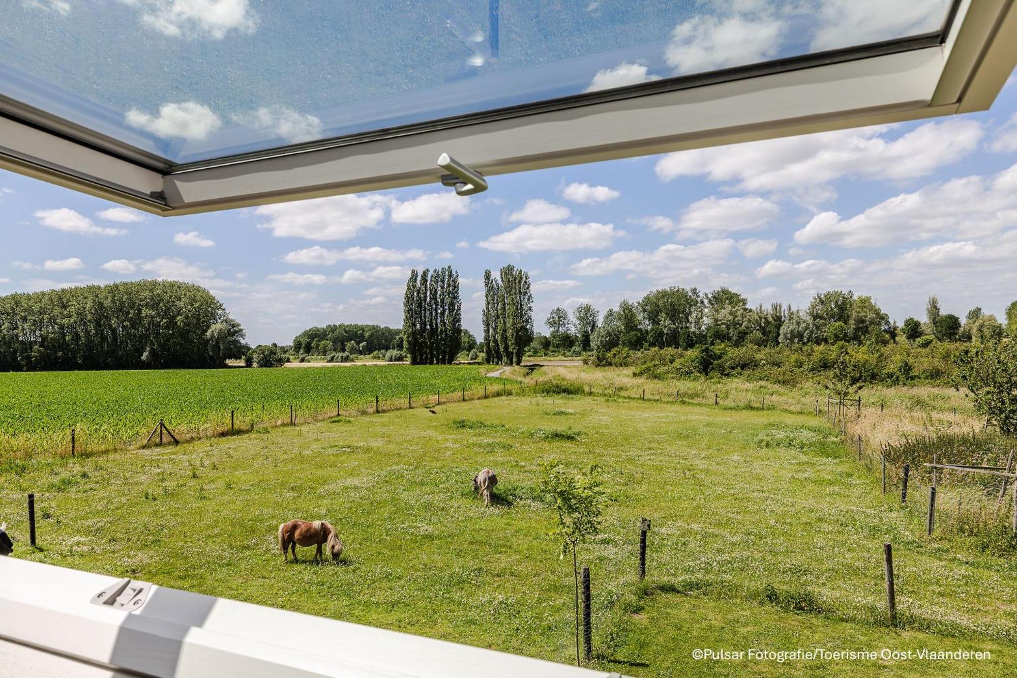 Villa Op 'T Roth Oudenaarde Exterior foto